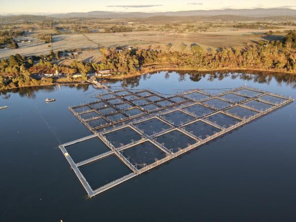 8 Rowella Fishery Expansion