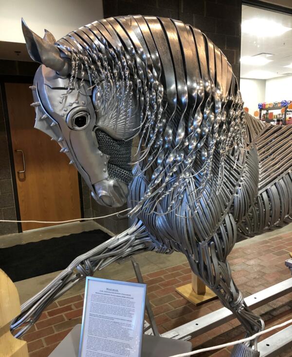 Nigel Fennel Maximus